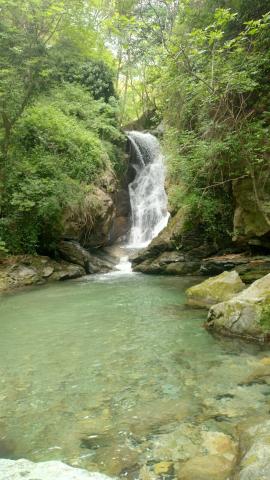 Cascata delle libellule